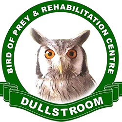 Dullstroom-Footer-Logo